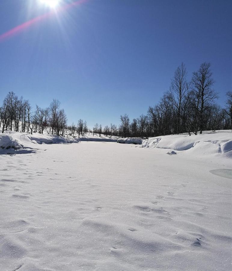 Majoitus Valkea Nunnanen